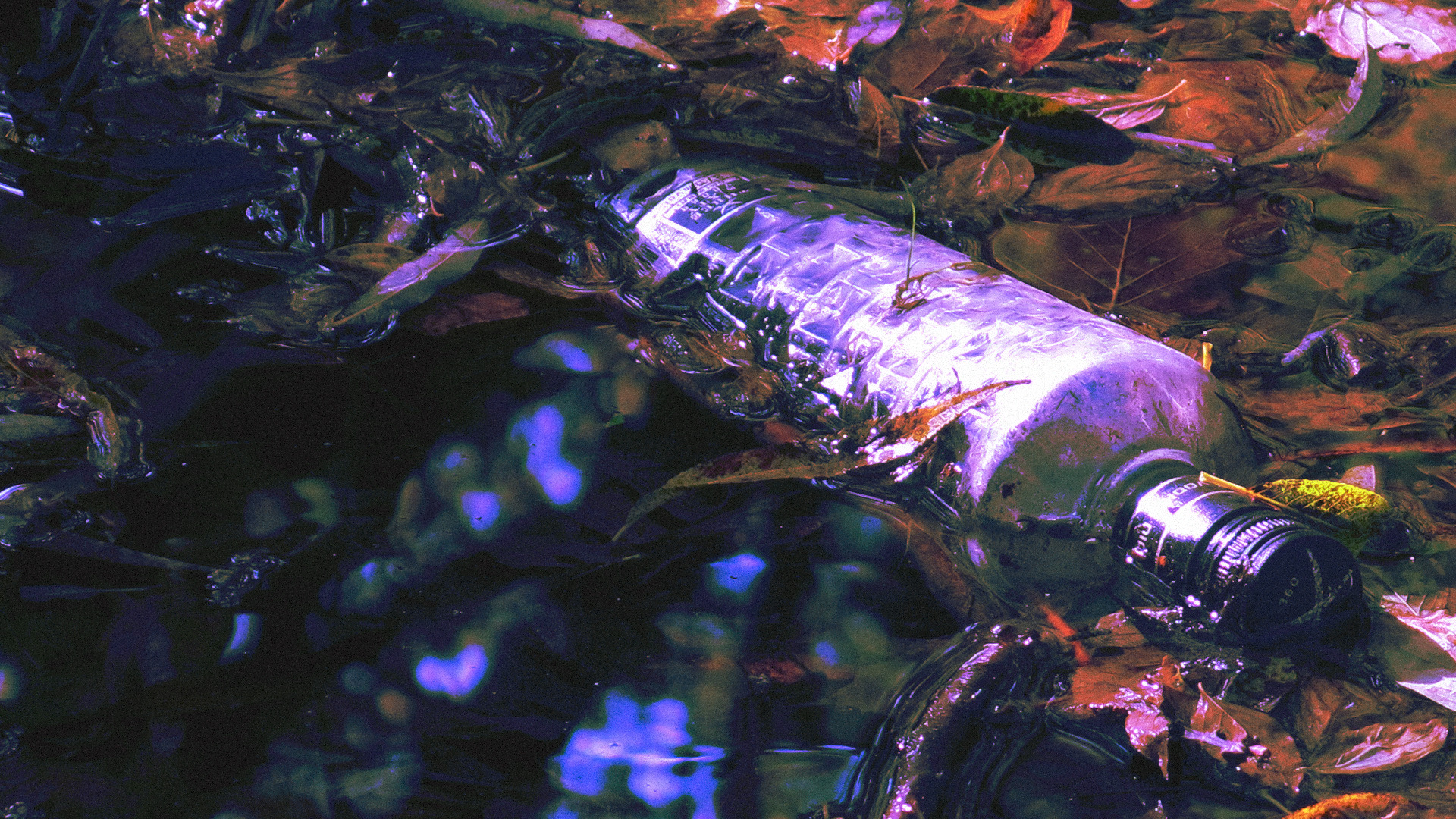 bottle in a river in bloodborne colors